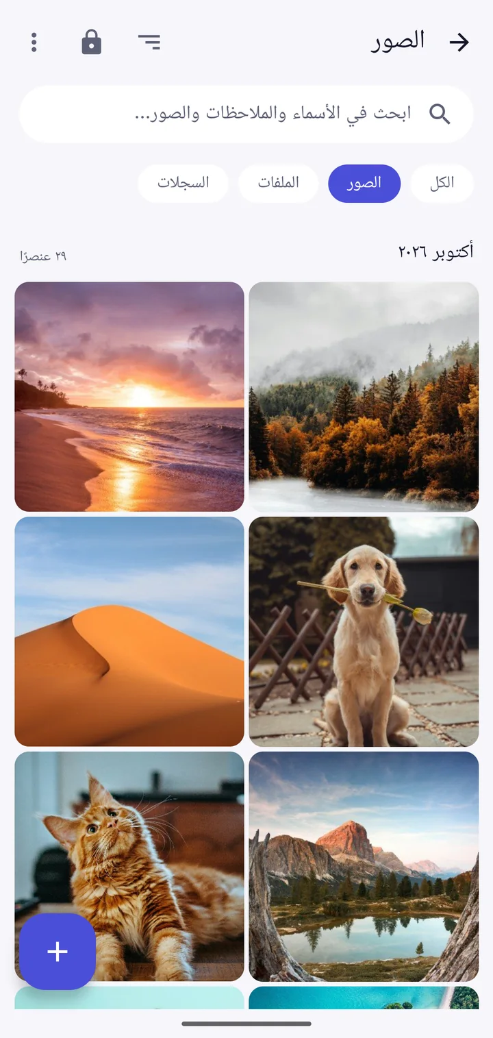 صور خاصة في خزنة Vault This