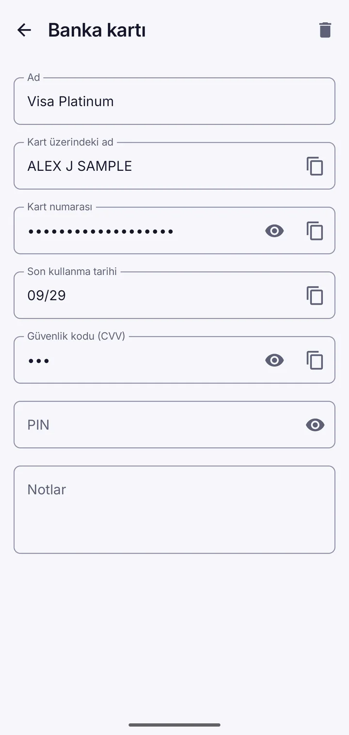 Visa ve Mastercard kartlarını gösteren Vault This